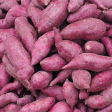 Red Sweet Potato